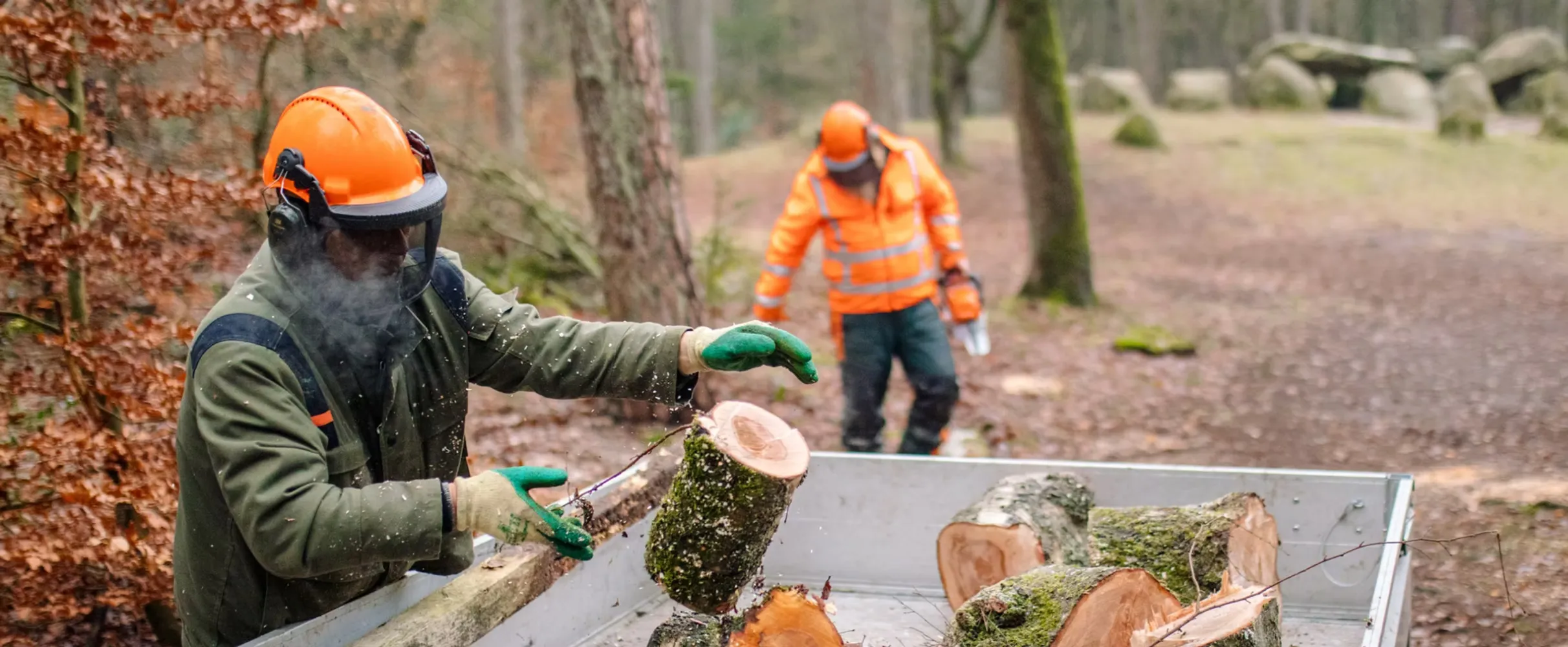 Deelnemer aan het werk in het bos van Nieuw Wulven