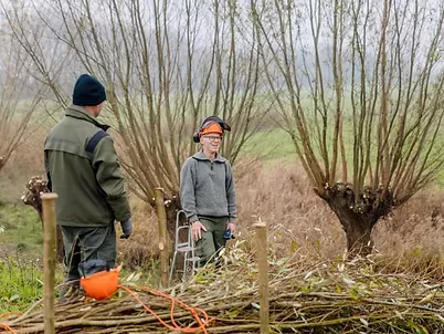 Binnenwerk van de werkschuur