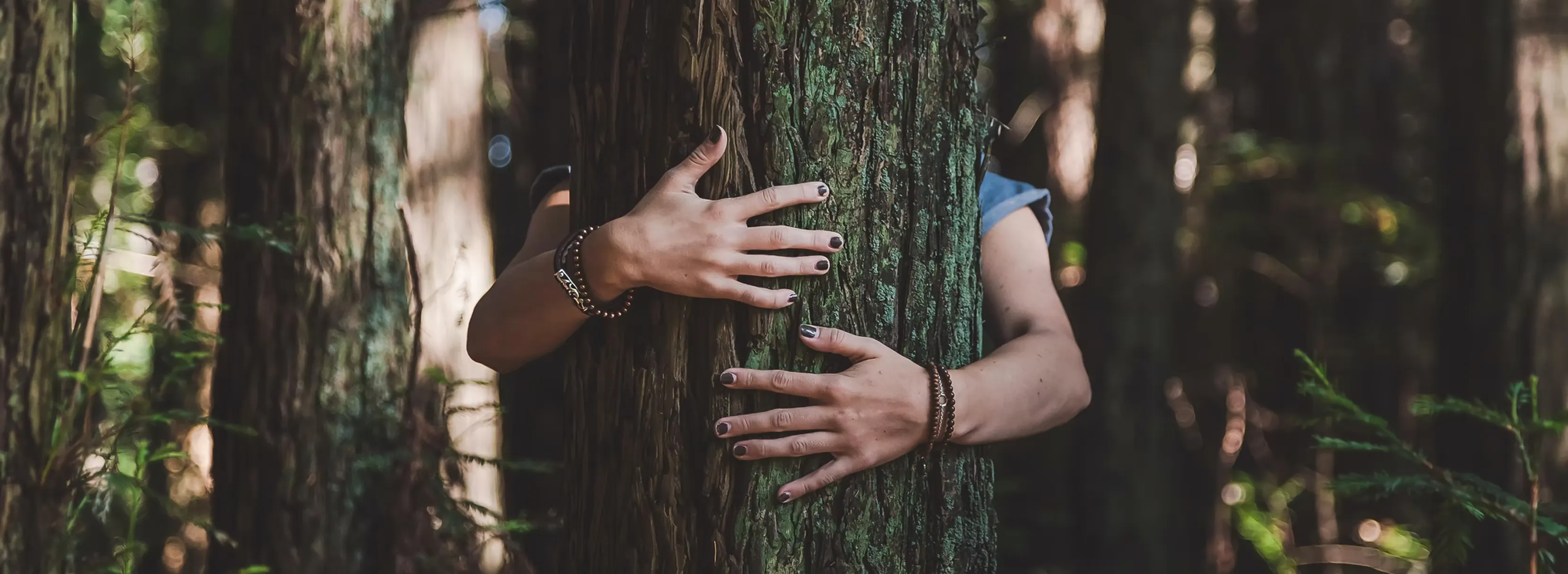 Deelnemers in oranje werkkleding wandelen door het bos